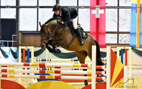 paard-emperor-schau-22-beelitz2x.jpeg