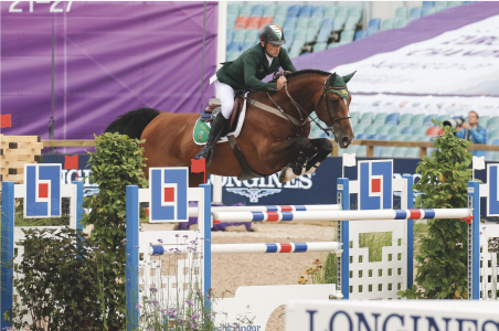 paard-schermafbeelding-2022-01-28-om-133153.png