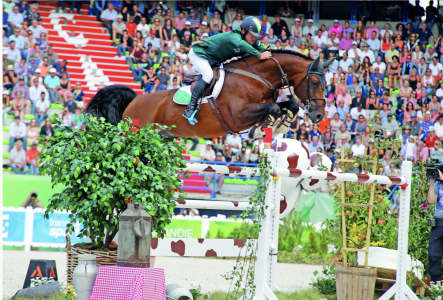 paard-schermafbeelding-2022-01-28-om-133217.png