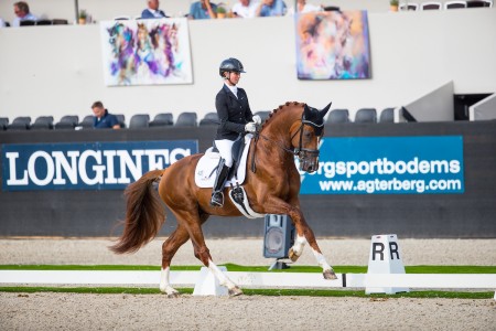 paard-so-unique.jpg