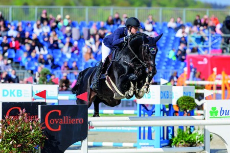 paard-stais-alexa-cyp-chad-blue-pssl1225-012-10421920x1920.jpeg