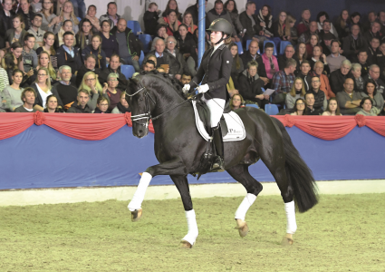 paard-total-hope.png