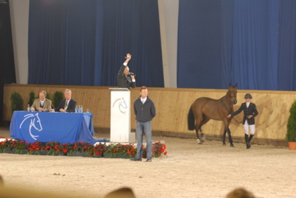 Conteur-Tochter für 240.000 Euro in Aachen versteigert