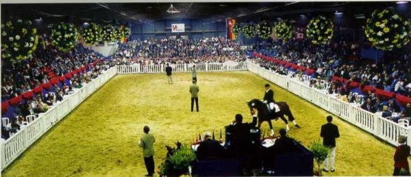 Vooruitblik op Oldenburgse Hengstenkeuring 2007