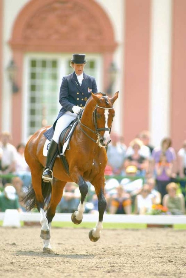 ELLEN BONTJE geeft clinc op hengstenshow