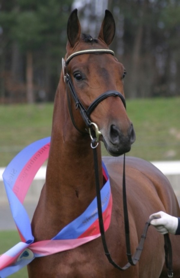 Sieger Hit en Qué Guapo aan collectie toegevoegd