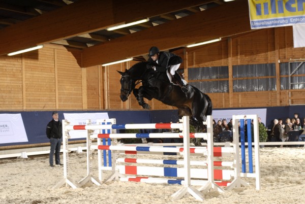 Etalons Galmbacher convainquant au show