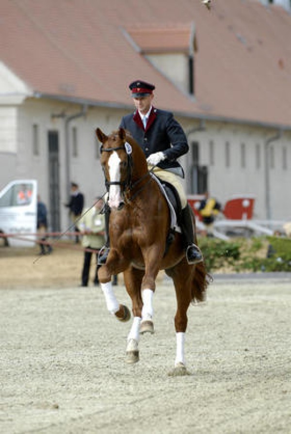 Quaterman succesvol in Grand Prix in Löbnitz