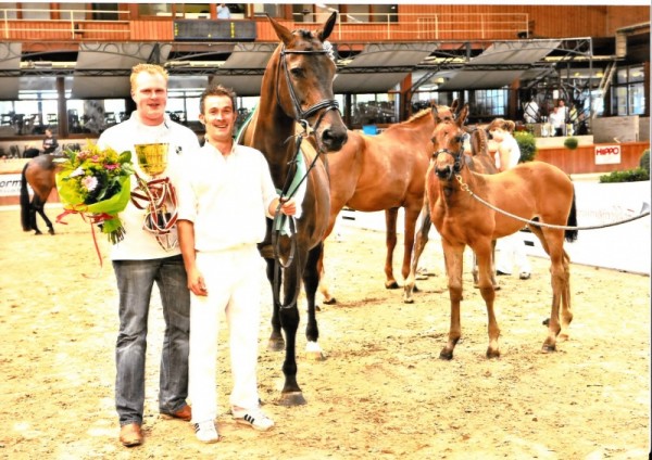 Quaterback veulen wint finale Veulenkampioenschap Zilveren Spoor!