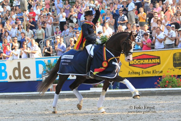 Callaho's Benicio met diepvriessperma beschikbaar