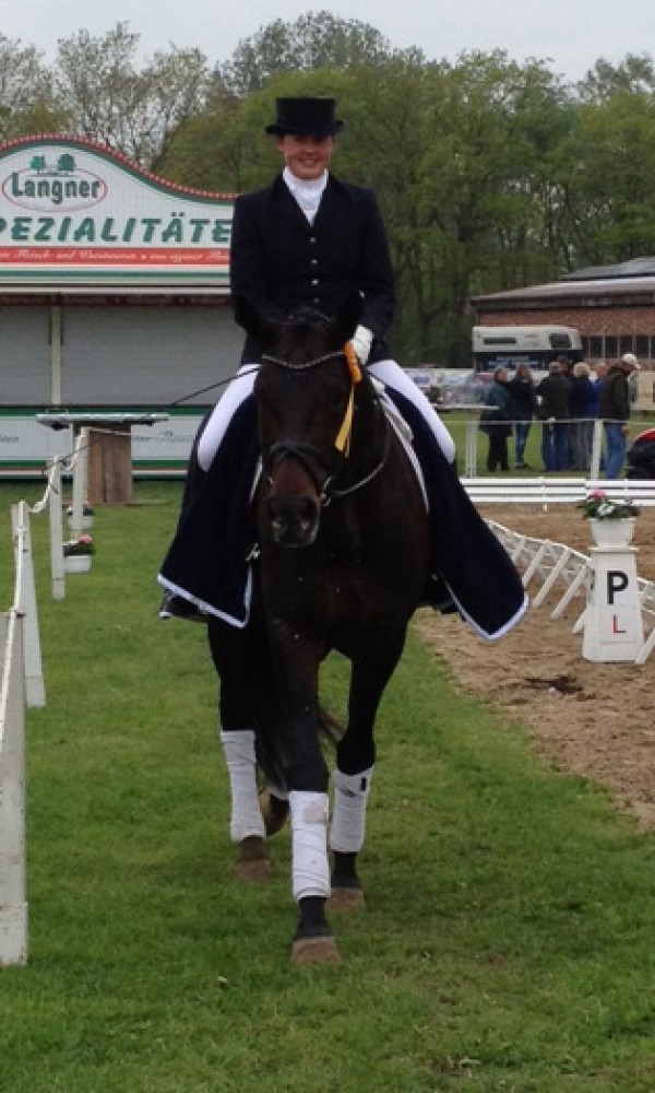 Rosengold wint bij eerste start in de M.