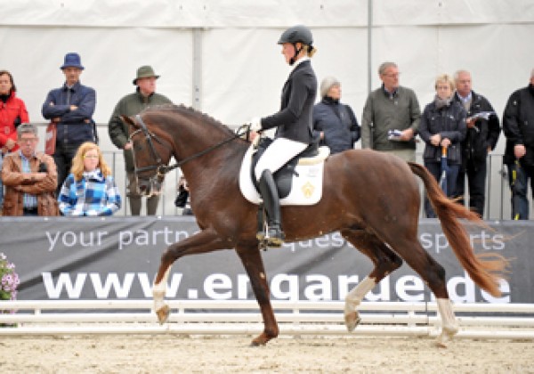 Quotenkönig en Quassar de Charry succesvol op het Bundeschampionnat!