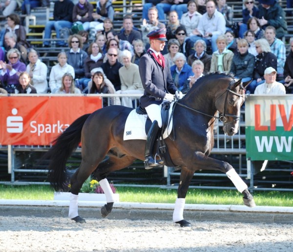 Lord Fantastic verkocht naar Stal Kasselmann