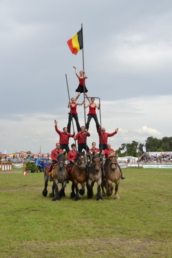 Stoeterij Bagoniebos en Team Van de Vijver op hengstenparade Brandenburg!