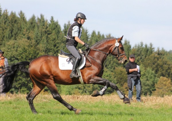 Chambretto GT wint 70 dagen test op alle vlakken!