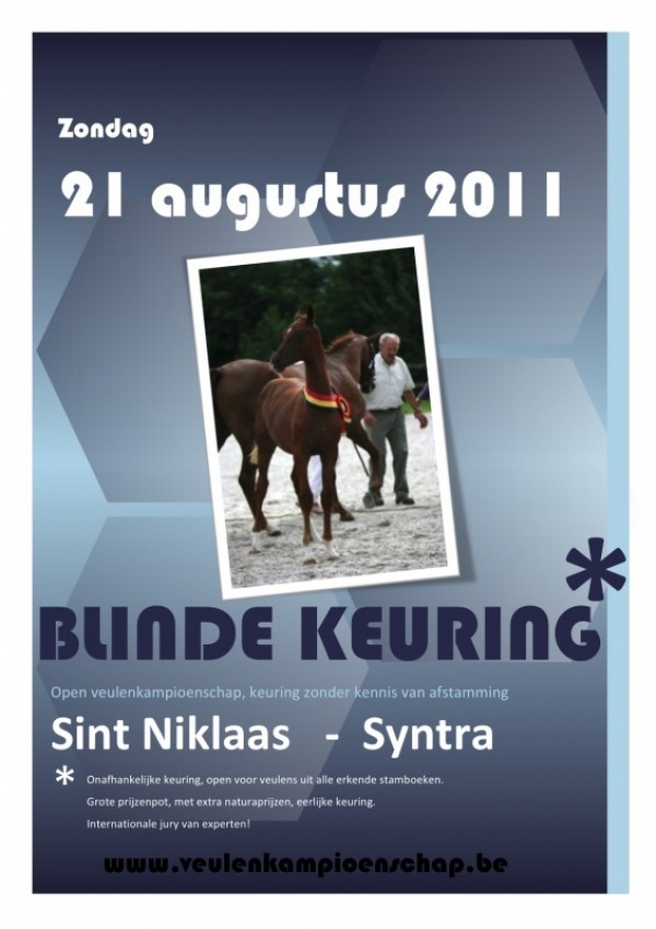 Zondag 21 Augustus: Blinde veulenkeuring Sint Niklaas !